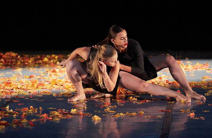Festival Internacional de Danza Contemporánea de la Ciudad de México