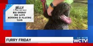 Furry Friday: Meet Jelly
