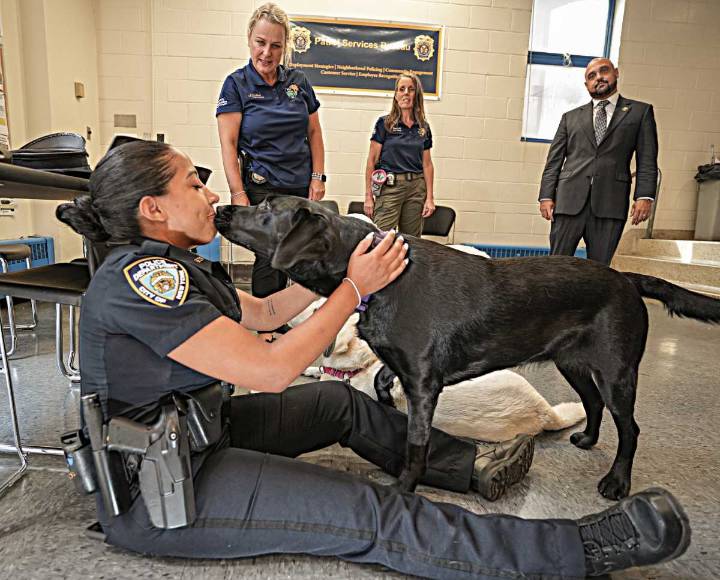 Midtown Mass Shooting: How the NYPD is using therapy dogs to help cops recover from traumatic experience