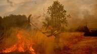 Inmigrantes asentados en Galicia luchan contra el fuego en Ourense para evitar que las llamas lleguen a las casas