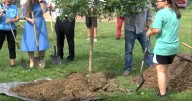 Cedar Rapids Marks Five Years Since Devastating Derecho