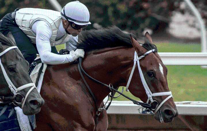 Journalism’s story gains new drama in Pacific Classic at Del Mar