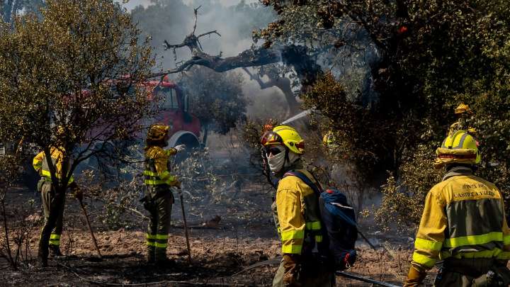Las fotos del avance de los incendios en Castilla y León: ochos fuegos asolan la Comunidad