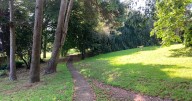 Free Devon gardens with secret castle is one of the UK's top places to visit
