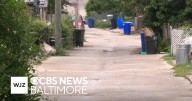Residents in Towson community concerns by rat infestation