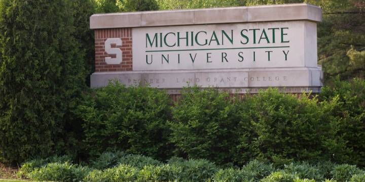 MSU pauses transfer of psychiatric services