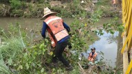 Convocan a detener la tala de mangle este lunes en Mazatlán