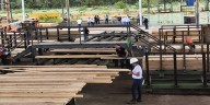 MDO fortalece capacidad productiva en planta de aserrío