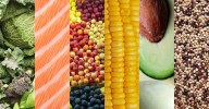 What to Eat for All