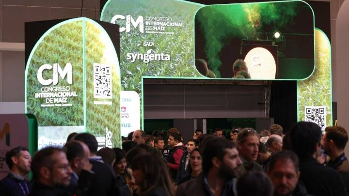 Cartelera económica: Rosario será sede del congreso internacional del maíz