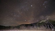 Así se Vio la Lluvia de Estrellas Perseidas En Su Punto Máximo