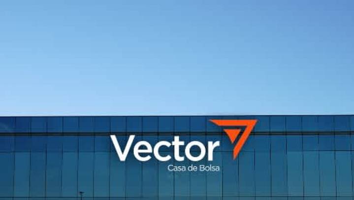 Vector: clave en hábitat de casas de bolsa mexicanas