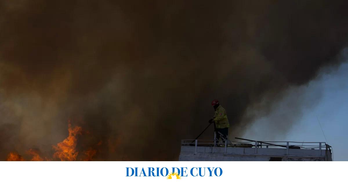 Incendio forestal en Médano de Oro: las llamas rozaron una tragedia en 4 viviendas