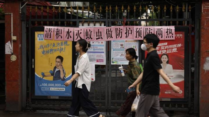 What we know about the chikungunya virus spreading in China