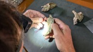 Newly Discovered Fossils Reveal Unknown Humanlike Relative