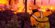 ICE deporta a dos bomberos mexicanos que combatían incendio en Washington