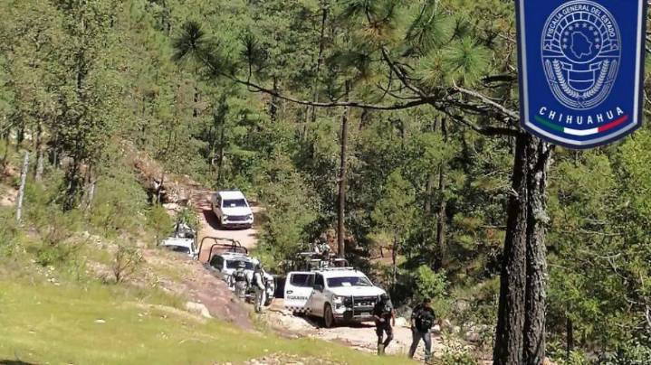 Destruyen punto de “halconeo” en Guadalupe y Calvo