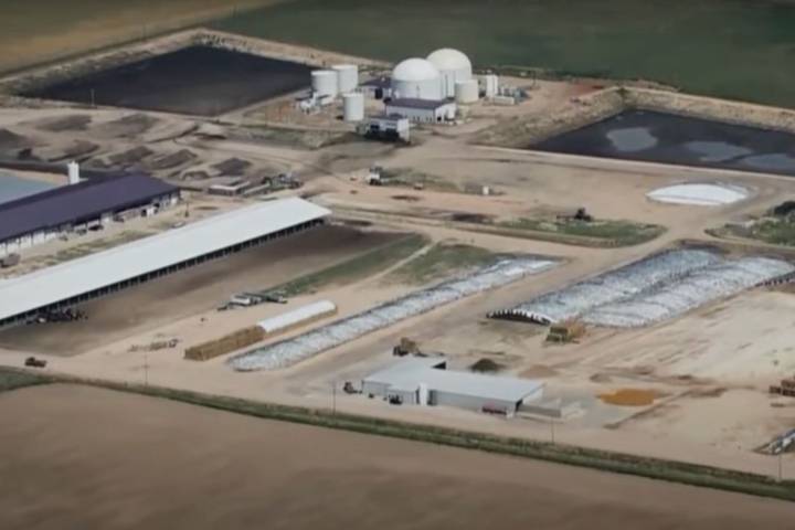 6 People Dead Following Accident at Colorado Dairy Farm