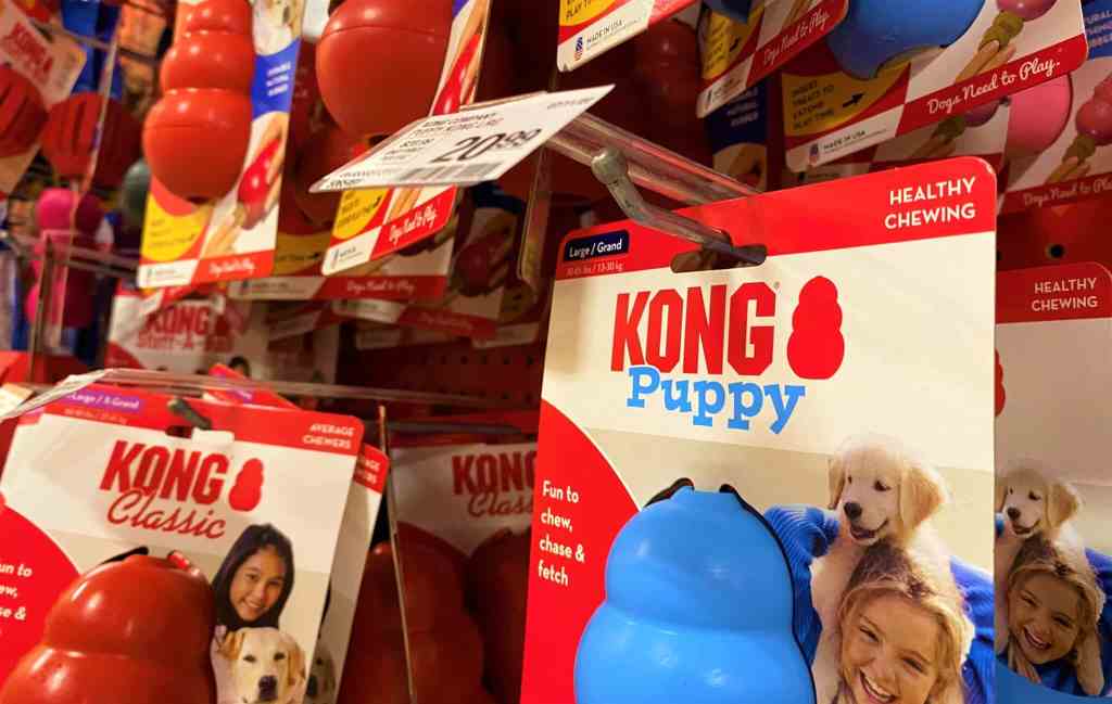 Founder vs. president: Trial to decide future of dog toymaker Kong begins