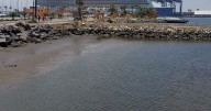 Ensenada traza rumbo internacional