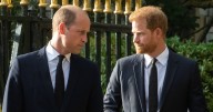 Prince William 'might be jealous' of Prince Harry and Meghan Markle, says Fern Britton