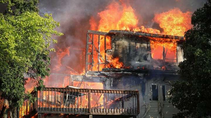 Six dogs missing after suburban house fire
