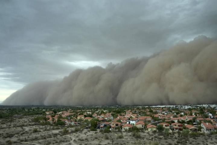 After fearsome dust storm rips Phoenix area, trees cleaned up and power restored