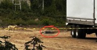 ¡Asesinan a un hombre a tiros en Miahuatlán!