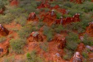 China emite nuevas normas para reforzar su control sobre el suministro de tierras raras