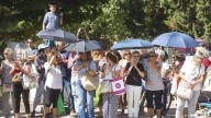 "Arboles Vivos Huesca" abre sus paraguas alertando de que la ciudad se quedará sin sombra