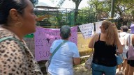 “Animales del Paseo del Río Orizaba viven hacinados y en riesgo”, acusan colectivos