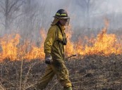 Forest preserve approves $25 million land acquisition, public access and habitat restoration projects