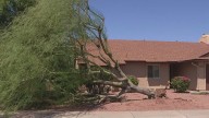 Monsoon: Cleanup continues after Thursday storm