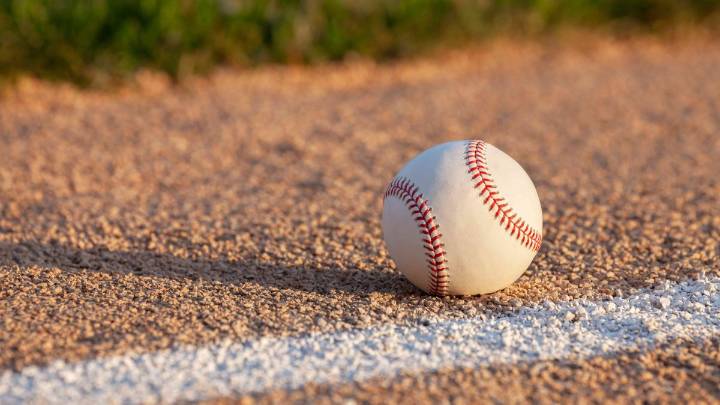 Suburban Clarendon Hills team heads to Little League World Series