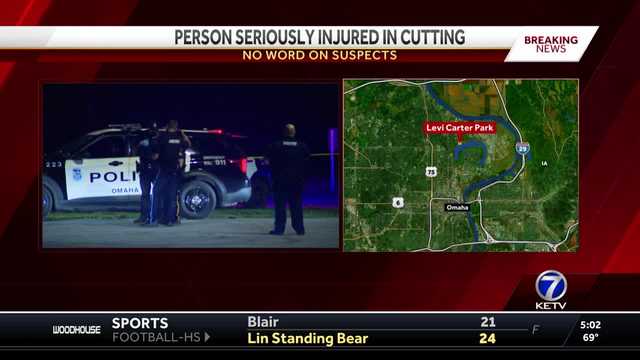 One person seriously injured in cutting