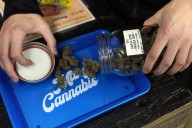 MAGA minions are reeling as Trump weighs reclassifying weed