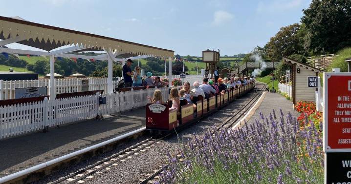 Stunning Devon family day out is a paradise for railway enthusiasts