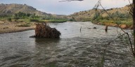 Arkansas River back open following removal of fallen tree