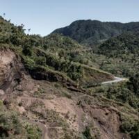 Fight to save last forests of the Comoros unites farmers, NGOs