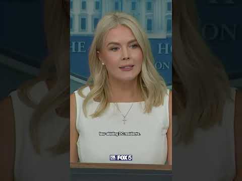 Karoline Leavitt on President Trumps "DC slums" comments