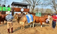 Con lo mejor de la ganadería regional comienza la 89° Exposición Rural de Corrientes