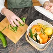 Extra Extra: How to compost without getting bugs everywhere