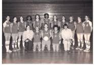 South Haven High School planning to celebrate 50 years of girls volleyball
