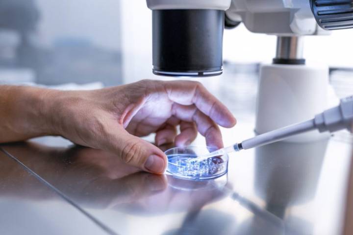 Birth from embryo frozen for more than 30 years believed to be a record