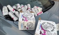 Mother arrested after 18 alcohol cans found in car as she drove with child