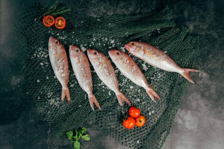 Ready to Eat Fish Products Recalled Due to Unsanitary Production Conditions