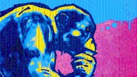 "Intelligence Is A Difficult Concept To Define": Can Animals Think?