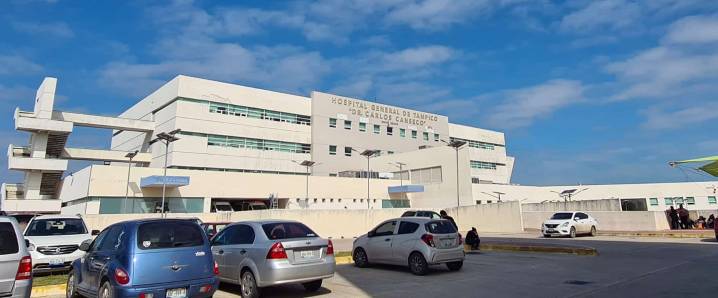 Volverán a dar vida con reactivación renal