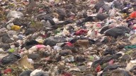 No end in sight to plastic pollution crisis as treaty negotiations in Geneva fail