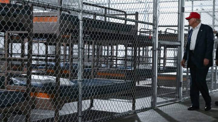 Judge temporarily suspends Alligator Alcatraz construction 